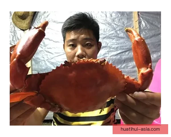 世界杯竞猜游戏网站全新上线，邀你一起预测赛事结果，赢取丰厚奖品！